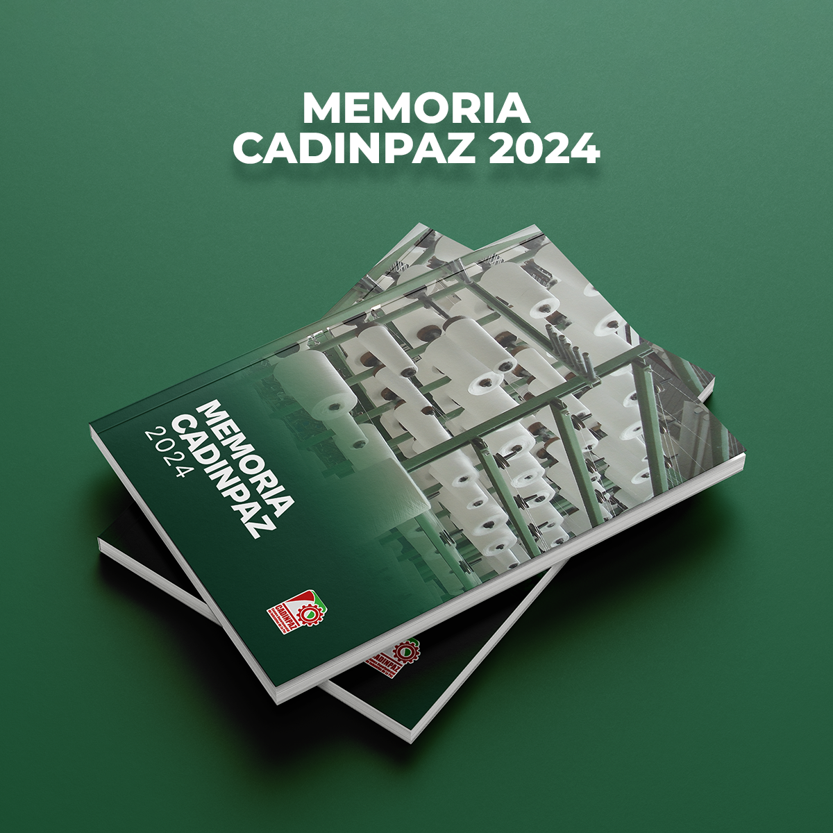 MEMORIA INSTITUCIONAL CADINPAZ 2024